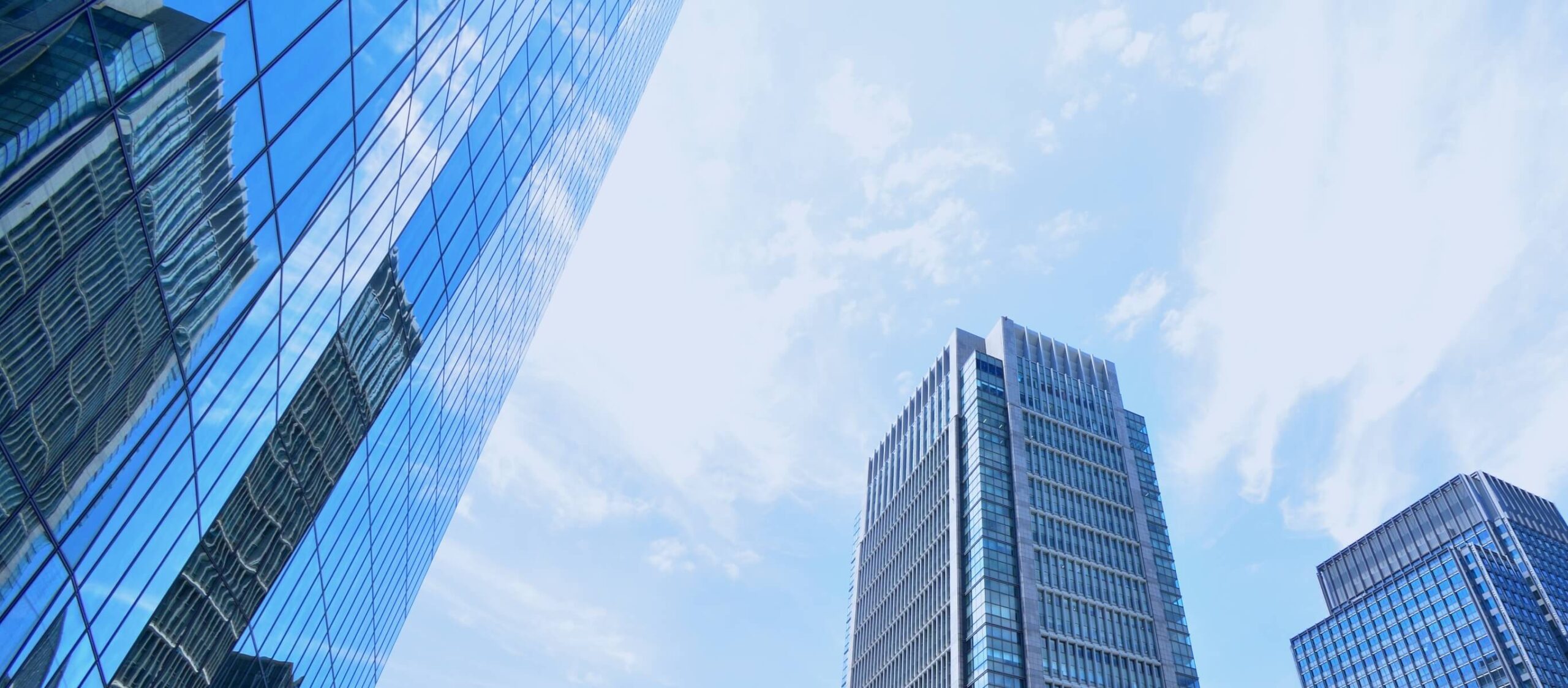 財務会計コンサルティングのご相談ならアバカス・アカウンティング