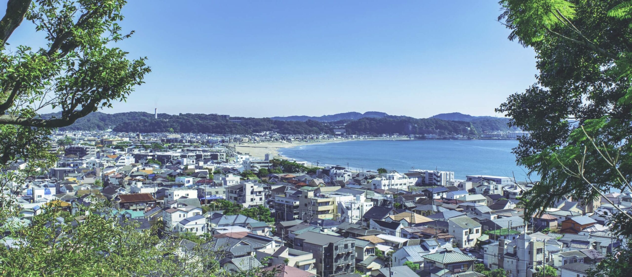 財務会計コンサルティングのご相談ならアバカス・アカウンティング